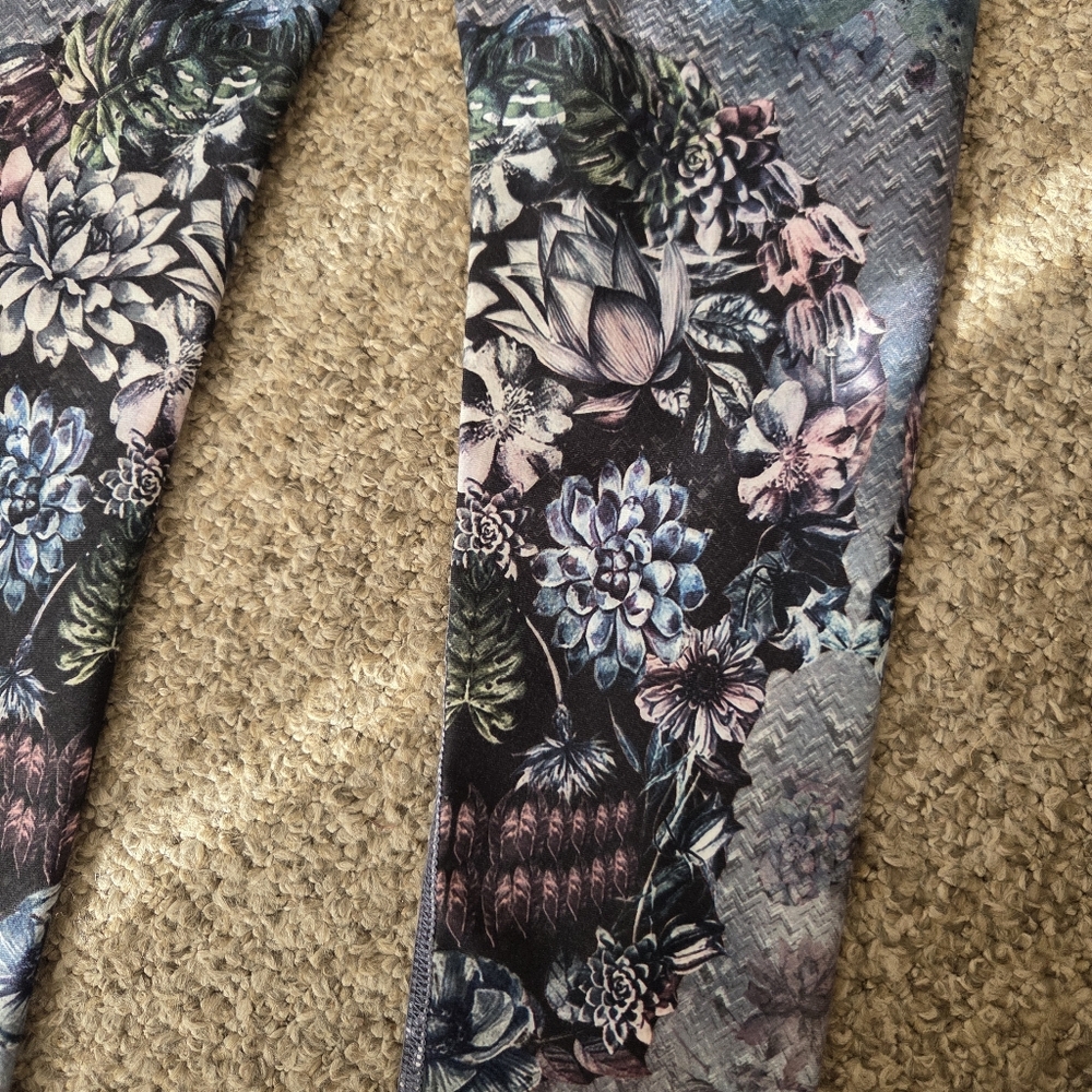 Evolution And Creation Cactus Succulent Sugar Sku… - image 7